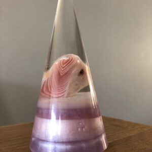 Healing Trauma