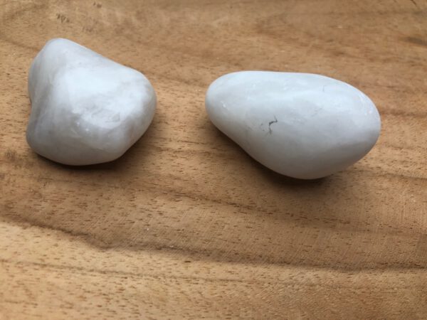 Melkkwarts